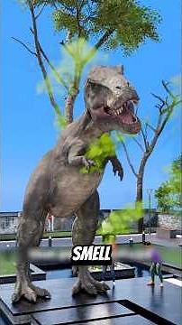 People Who Were Killed By Their Own Curiosity