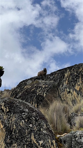 Romanticizing My Mt. Kenya Hike Forever