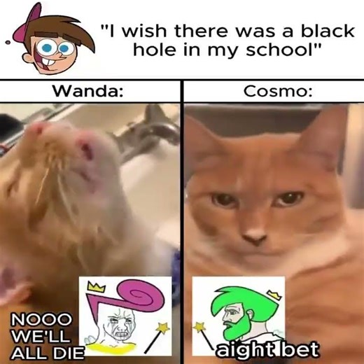 fairly oddparents meme i stole from reddit