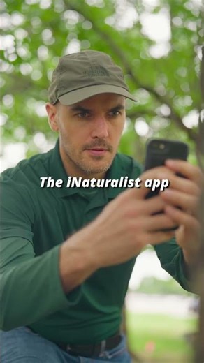 Exploring Nature With iNaturalist: Identify Trees & Plants