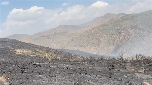 178K views · 2.6K reactions | Tanker 133 in action completing a retardant drop to support the ground crew battling the Gardner Fire in Idaho ✈️ #coulsonaviation #aerialfirefighting #c130 | Coulson Aviation - Next Gen Firefighting | Facebook