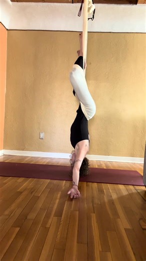 Back Straddle Ragdoll ✨ The hammock holds at the hips, legs unfolding into space. Arms drape heavy, head soft, spine long. A full-body exhale— gravity releases its grip, and the body simply hangs, weightless and free. In stillness, you find softness. In surrender, you remember ease. @StacyLewisYoga | #StacyLewisYoga #AerialYoga #BackStraddle #RagdollPose #RestorativeAerial #YogaInTheAir #AUMStudio #short | Stacy Lewis Yoga