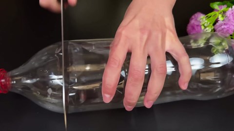 Easy Homemade Dairy Dessert with Milk and Condensed Milk – Ready in Minutes!