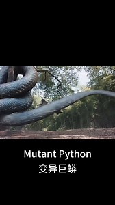 494K views · 5K reactions | Danger danger danger! #变异巨蟒 #MutantPython #优酷电影 #youkumovie | Youku Movie | Facebook