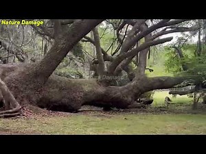 Chaos in Florida Today! Large Hail Storm Destroying Homes, Cars in West Virginia
