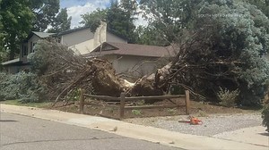 Strong wind gust causes damage in Centennial