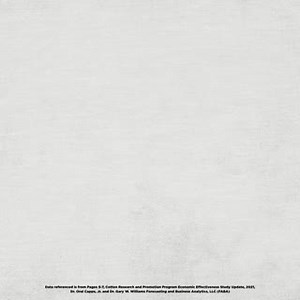 12 reactions | Let's talk about cotton prices. According to a...