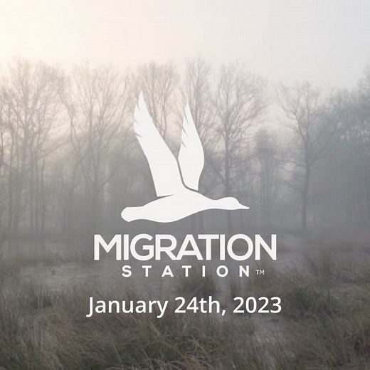 Migration Station™ on TikTok