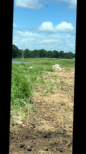 bebe rico (@bebe.rico1)’s videos with sonido original - Padrino Huevo 🔥