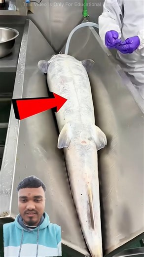 #trend #youtubeshorts