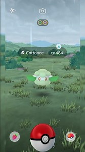 Catching a Cottonee pokemon in the wild #pokemongo #pokemon