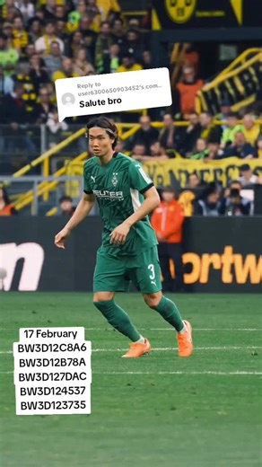 Understanding BW Codes: Insights & Analysis