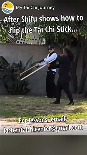 Tai Chi Stick