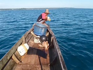 long line fishing mainstay spot, big stingray strike | Zami Akbar