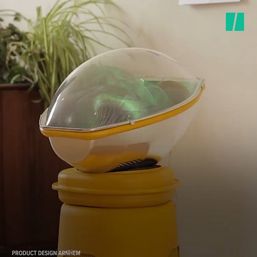 Would you use an A.I. pregnancy surrogate? | HuffPost UK