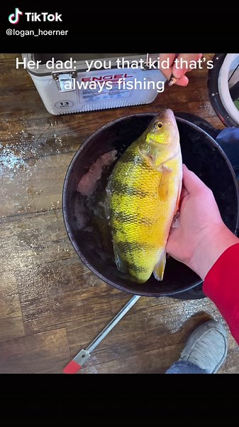 Ice Fishing Techniques for Walleye and Perch