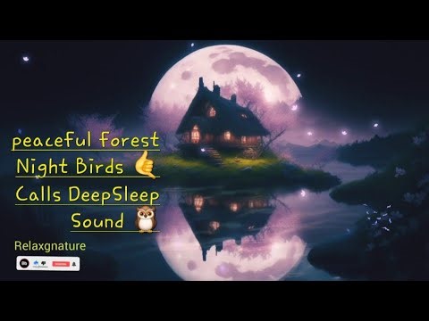 Calm Forest Night Sounds 🌙🌲 | Distant Owl & Night Bird Calls for Sleep, Relaxation & Meditation