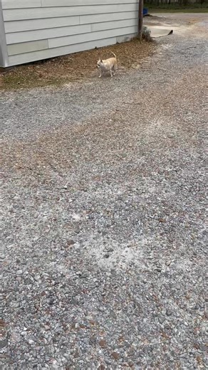 A day in the life at the flower shop… 🌸💐 From morning deliveries to designing beautiful arrangements, no two days are ever the same — and that’s what makes it so special! Whether we’re creating something custom, helping a customer pick out the perfect gift, or unpacking fresh blooms, every day is filled with creativity and a whole lot of love. We wouldn’t trade it for anything! ❤️ | Flowers by the Bunch