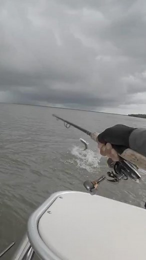 Hard to Beat Berkley Gulp! In The Saltwater💥