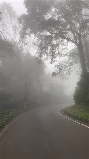 Raju Santhari on Instagram: "#vanjangihills⛰️ #paderu🌳 #winter #naturelovers #solotrip #enjoying #rj❤️"
