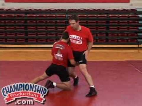 Rob Koll: Whizzer Series