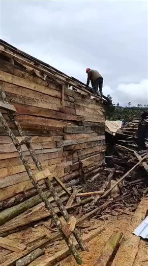 Erick56 (@erickmwapinga)’s videos with original sound - 💫MONGISH✨