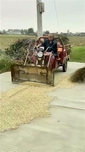 Using a Modified Tricycle to Quickly Turn Grain, So Clever!
