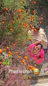 I downloaded the offline maps on my chest & shoulders 🥵 | Day - 30 | Legs & shoulders | #trending