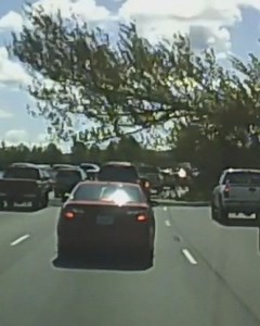 Dashcam video captures falling tree as it injures driver