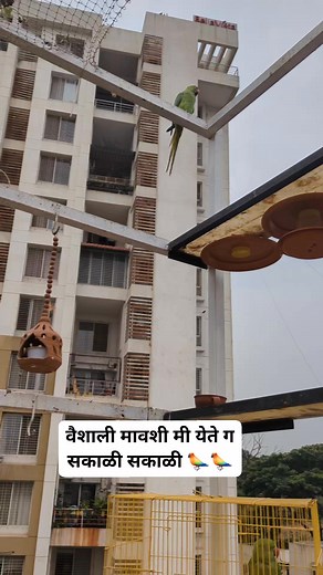 27K views · 642 reactions | Neeta Kumbhar on Reels | Facebook