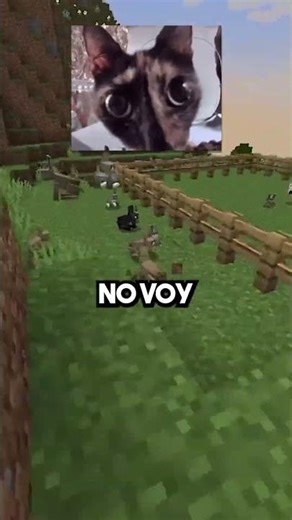 TIZIN CHICKEN VS RABBITS 🐤🤜🤛🐰 #minecraft #laos