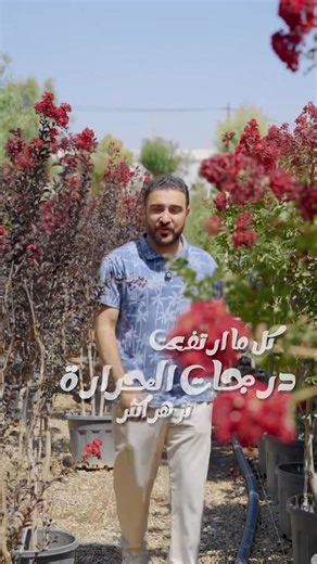 19K views · 281 reactions | ورد قهوة متفرع واستاند وعلى شكل مزهرية...