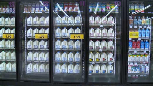 Mississippi becomes first state to ban sale of lab-grown dairy products