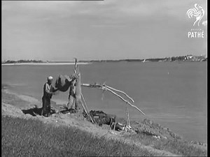 The Shaduf (1940-1949) on Make a GIF