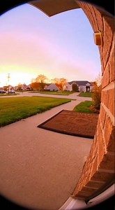 Impossible Cat Tower Chaos Caught on Doorbell Cam 🐱💥