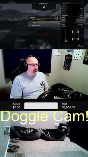 Forza Motorsport - Strategist