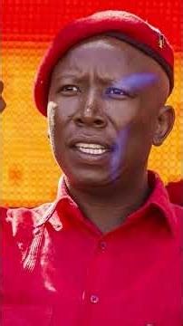 Julius Malema and Ngizwe Mchunu feud continues in court 📍