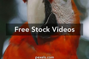 Amazon Fba Videos, Download The BEST Free 4k Stock Video Footage & Amazon Fba HD Video Clips