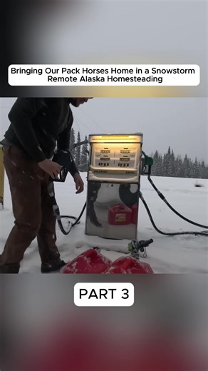 Bringing Our Pack Horses Home During a Snowstorm in Alaska