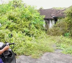 Exploring Outdoors: A Stylish Journey on a Scooter