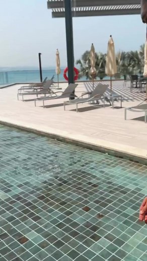 70K views · 3K reactions | The BORZ  enjoying  #mma #fighter #ufc | Dagestan chechen fighters | Facebook