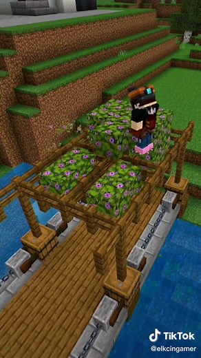 Cómo hacer un muelle de pesca en Minecraft