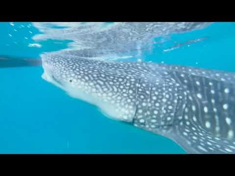 HSC Multimedia Major work + Short Film "Calme" 2025