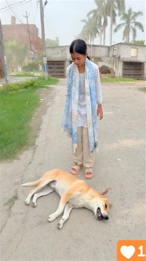 Sheru ne unzila ke bhai ko bacha lia 😱😱#shorts