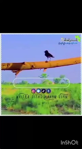 Karem jan (@karem.jan1)’s videos with original sound - Karem jan