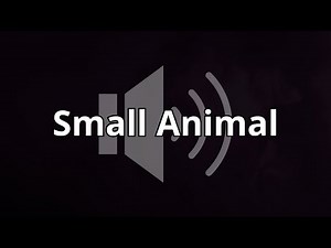 Small Animal Running Away Sound Effect