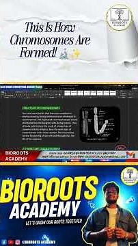 This Is How Chromosomes Are Formed! 🔬✨