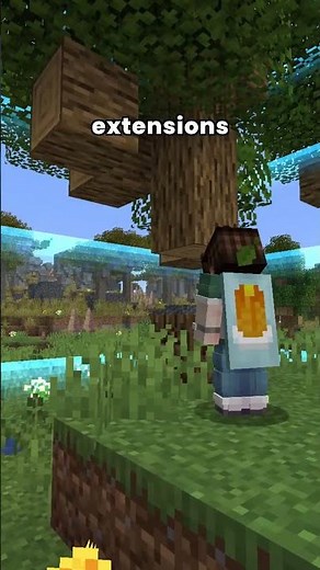Au début ce serveur ressemble à un simple Skyblock