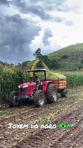 JF brutaa dmss🔥🚜🌽 #agro #roça #jf #masseyferguson #silagem