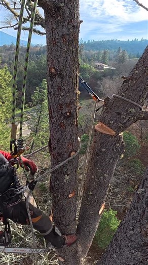 August Hunicke | Carabiners for Rigging 😱 | Instagram
